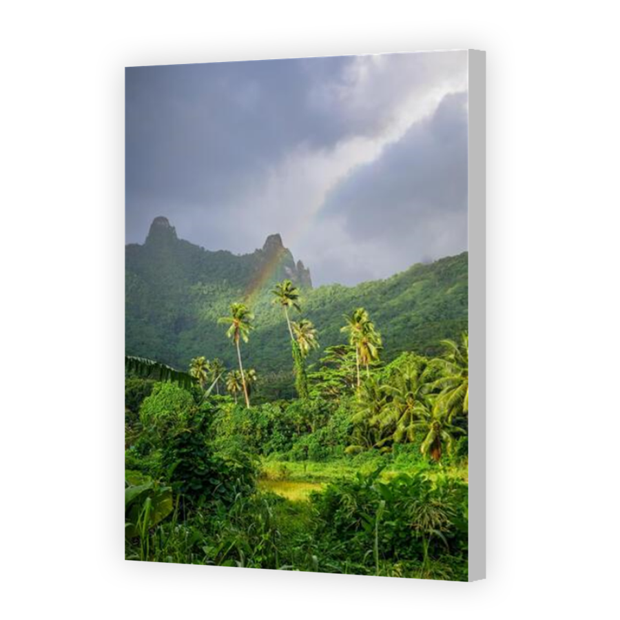 Thumbnail for Canvas - Coloured Canvas Wrap