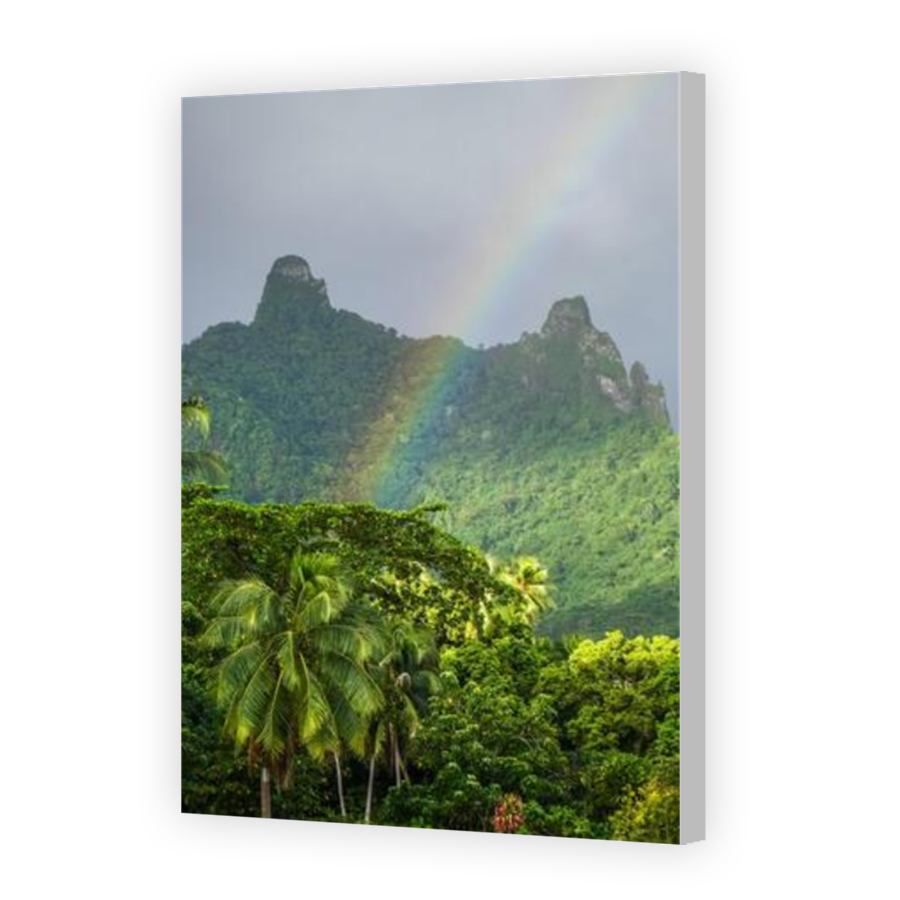 Thumbnail for Canvas - Coloured Canvas Wrap