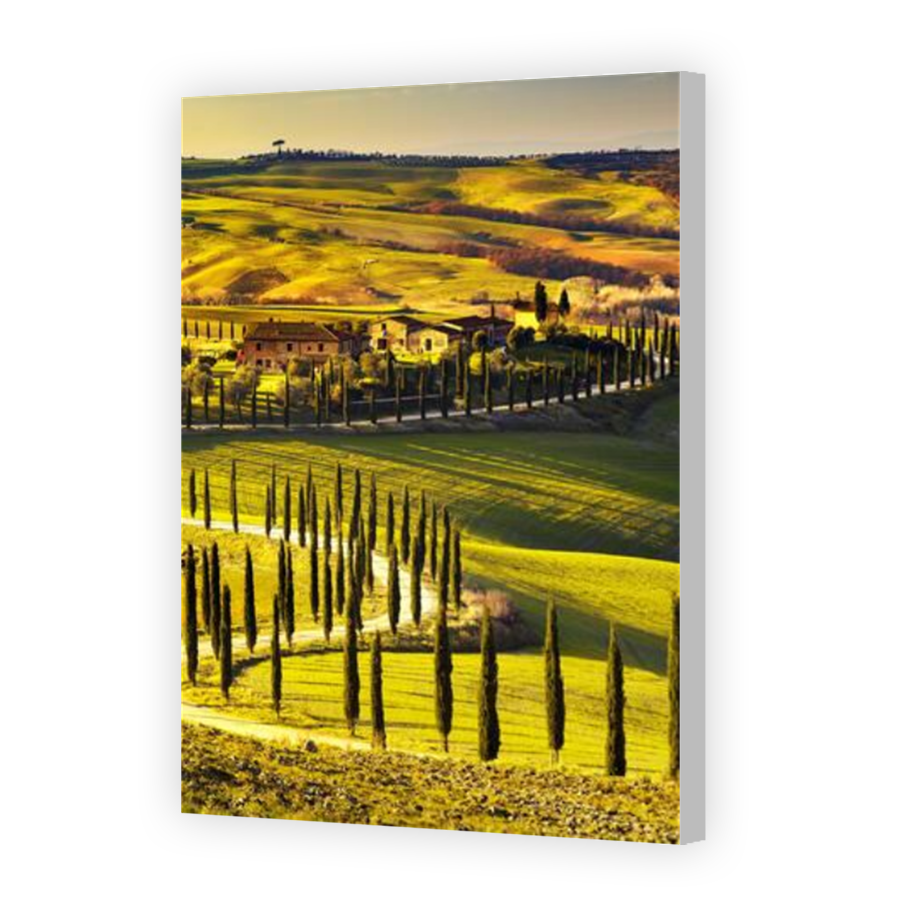 Thumbnail for Canvas - Coloured Canvas Wrap