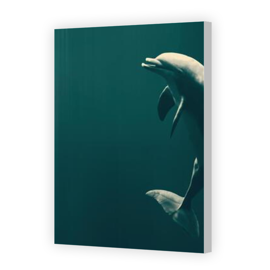 Thumbnail for Canvas - Coloured Canvas Wrap