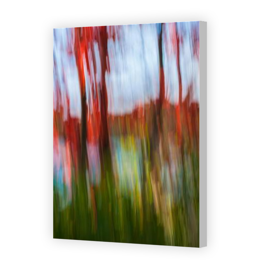 Thumbnail for Canvas - Coloured Canvas Wrap