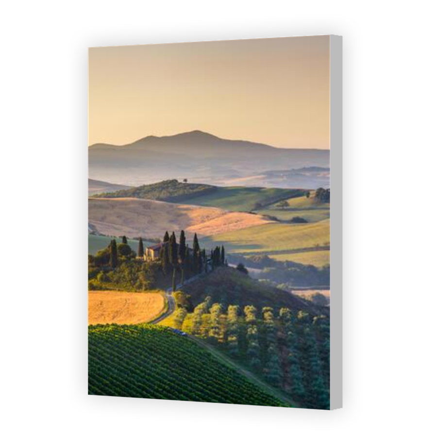 Thumbnail for Canvas - Coloured Canvas Wrap