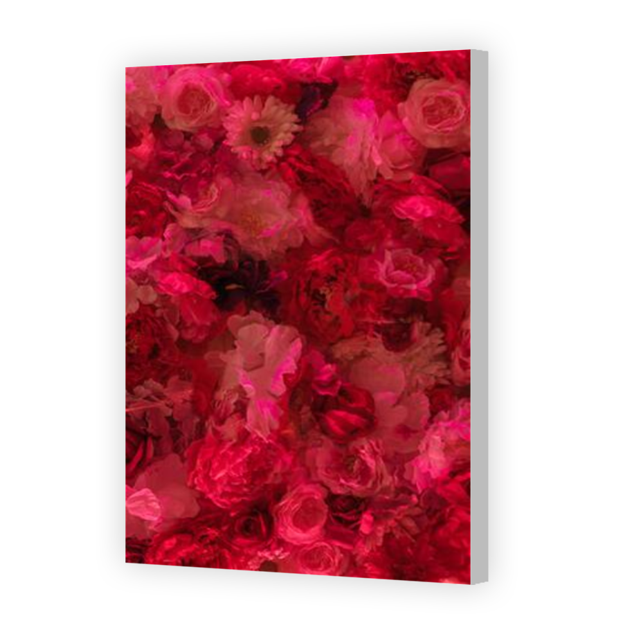 Thumbnail for Canvas - Coloured Canvas Wrap