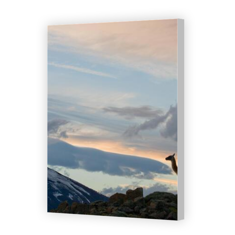Thumbnail for Canvas - Coloured Canvas Wrap
