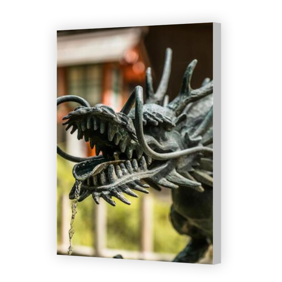 Thumbnail for Canvas - Coloured Canvas Wrap