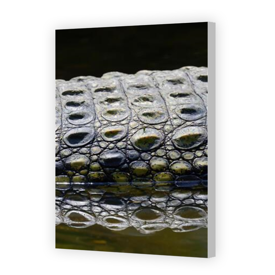 Thumbnail for Canvas - Coloured Canvas Wrap