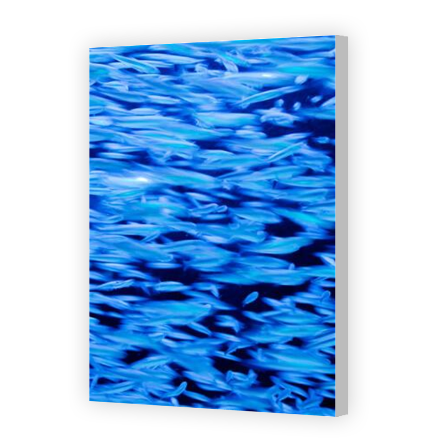 Thumbnail for Canvas - Coloured Canvas Wrap