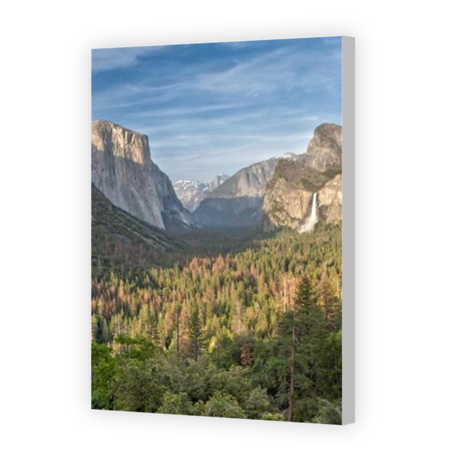 Thumbnail for Canvas - Coloured Canvas Wrap