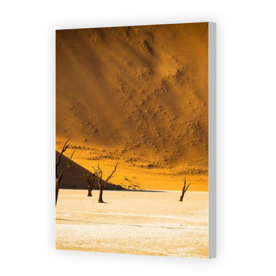 Thumbnail for Canvas - Coloured Canvas Wrap