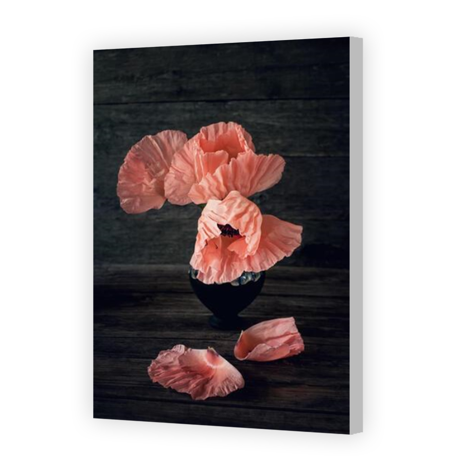 Thumbnail for Canvas - Coloured Canvas Wrap