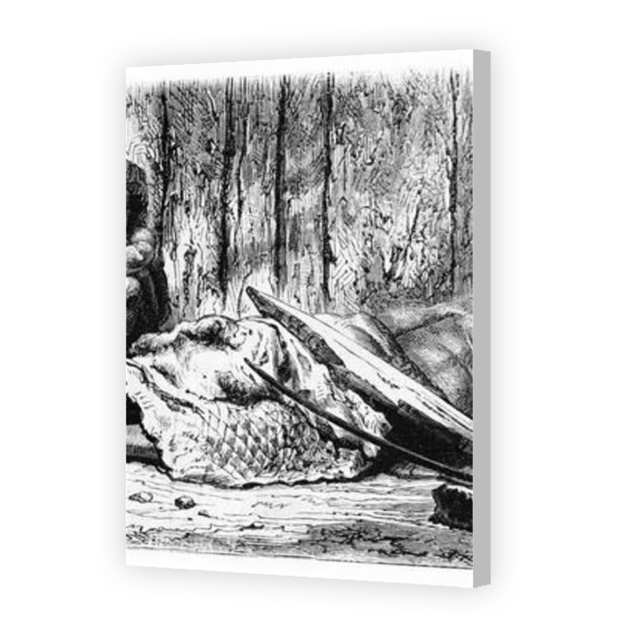 Thumbnail for Canvas - Coloured Canvas Wrap