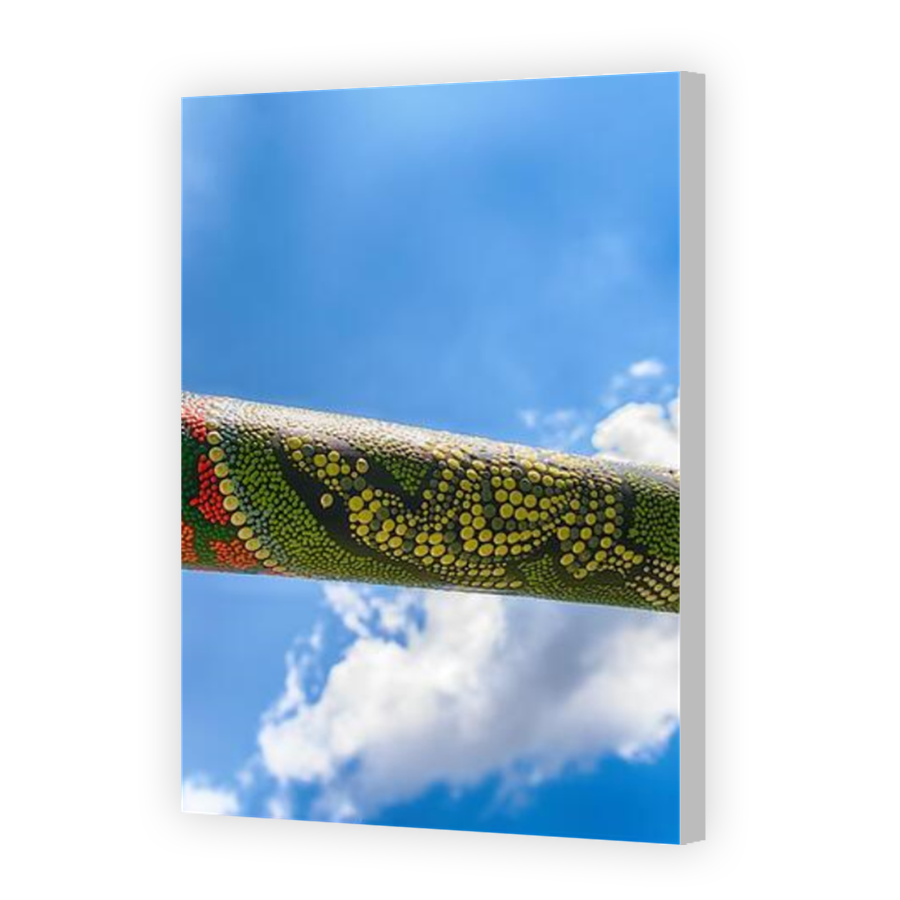 Thumbnail for Canvas - Coloured Canvas Wrap