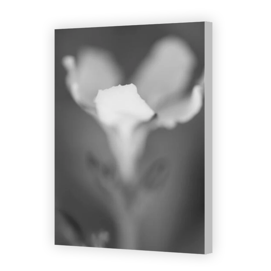 Thumbnail for Canvas - Coloured Canvas Wrap