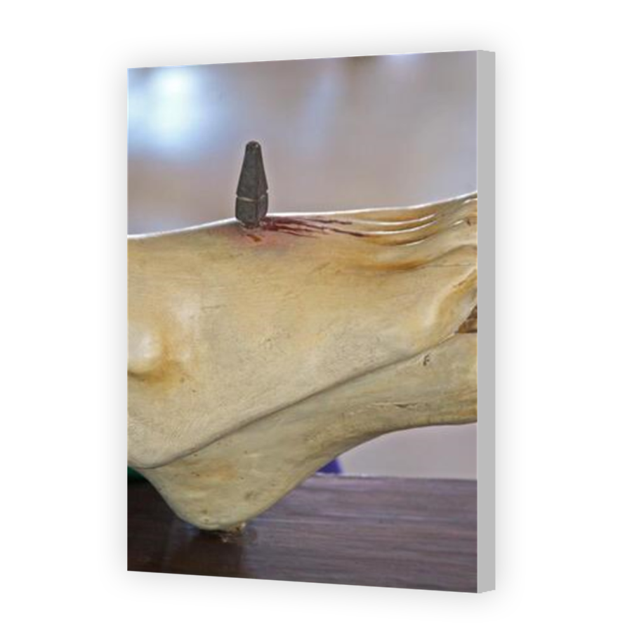 Thumbnail for Canvas - Coloured Canvas Wrap