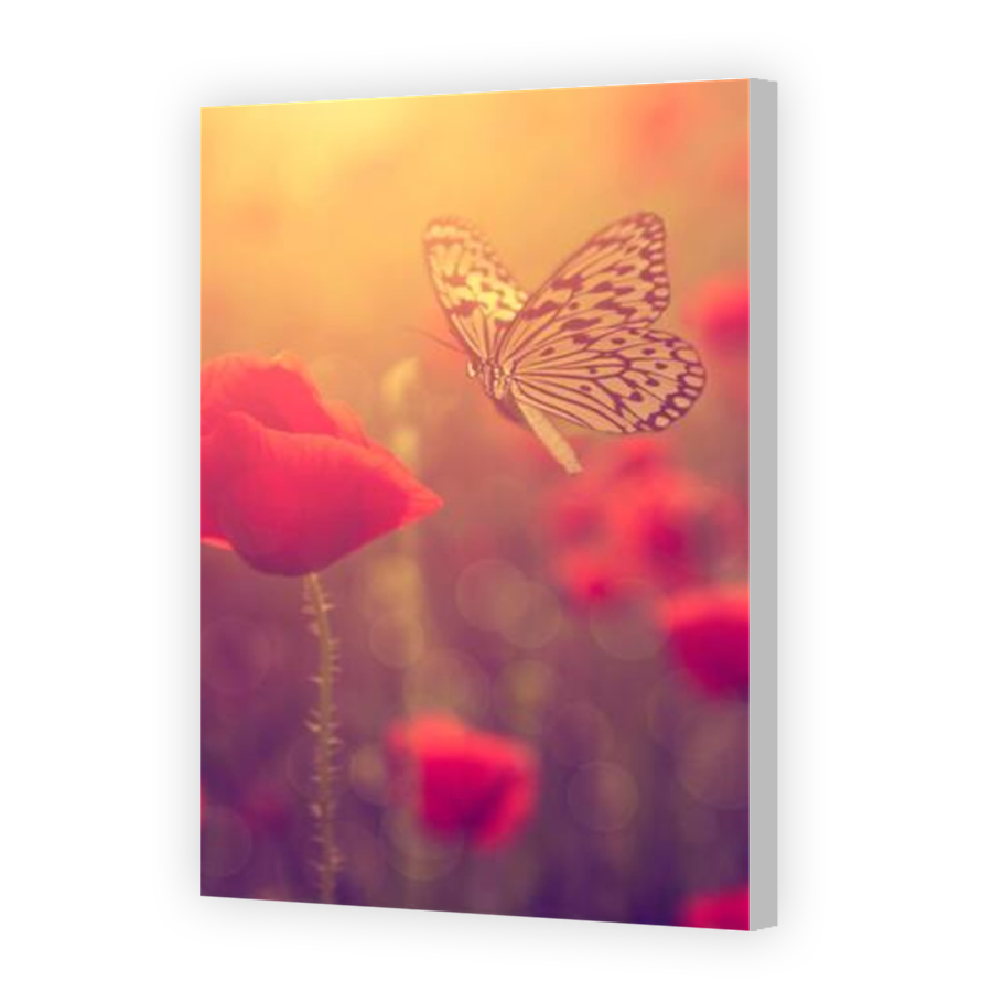 Thumbnail for Canvas - Coloured Canvas Wrap