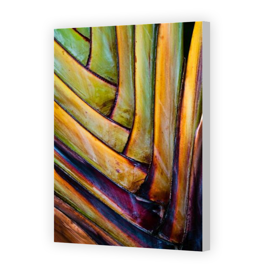 Thumbnail for Canvas - Coloured Canvas Wrap