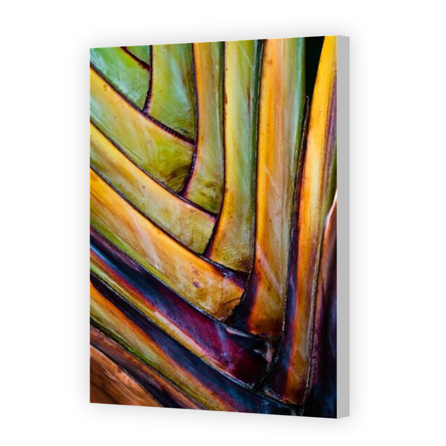 Thumbnail for Canvas - Coloured Canvas Wrap