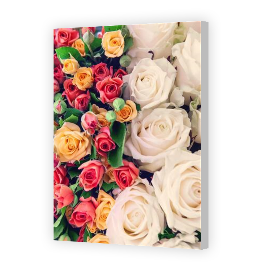 Thumbnail for Canvas - Coloured Canvas Wrap