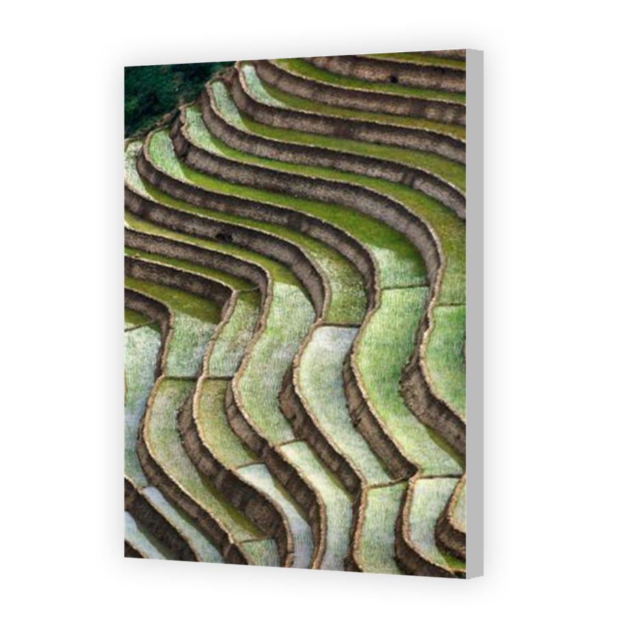 Thumbnail for Canvas - Coloured Canvas Wrap