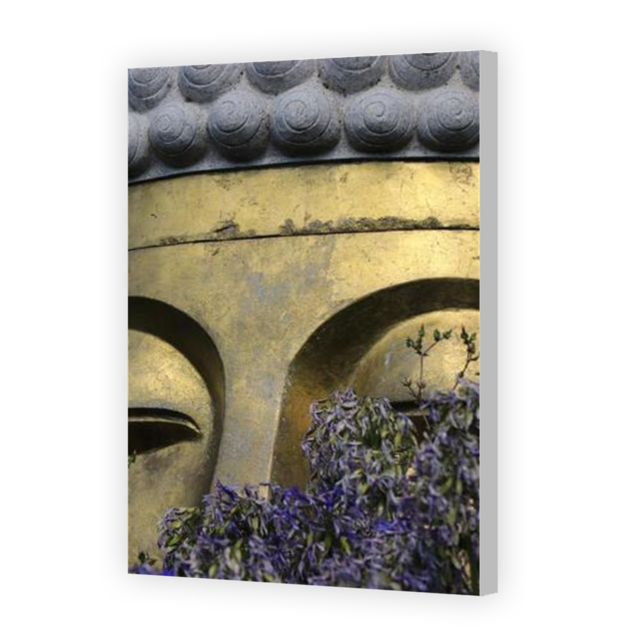 Thumbnail for Canvas - Coloured Canvas Wrap