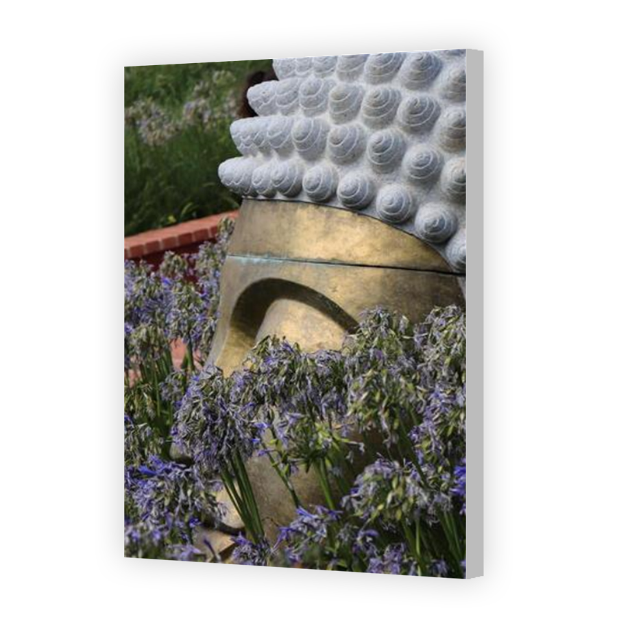 Thumbnail for Canvas - Coloured Canvas Wrap