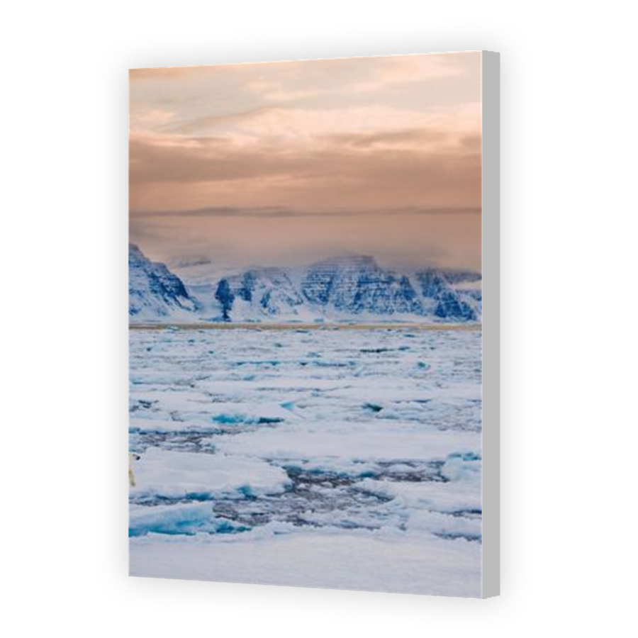 Thumbnail for Canvas - Coloured Canvas Wrap