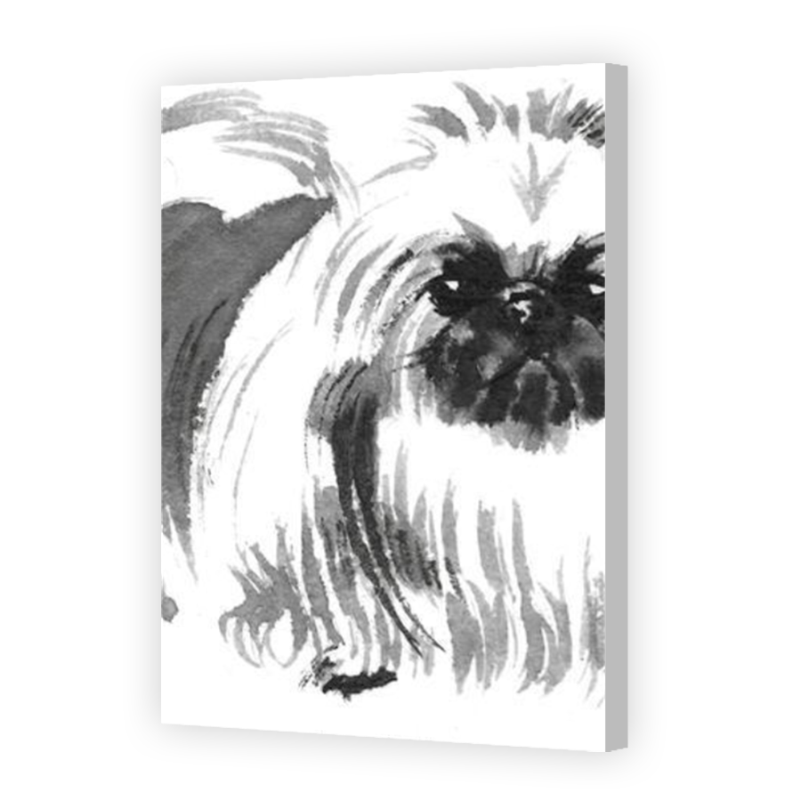 Thumbnail for Canvas - Coloured Canvas Wrap