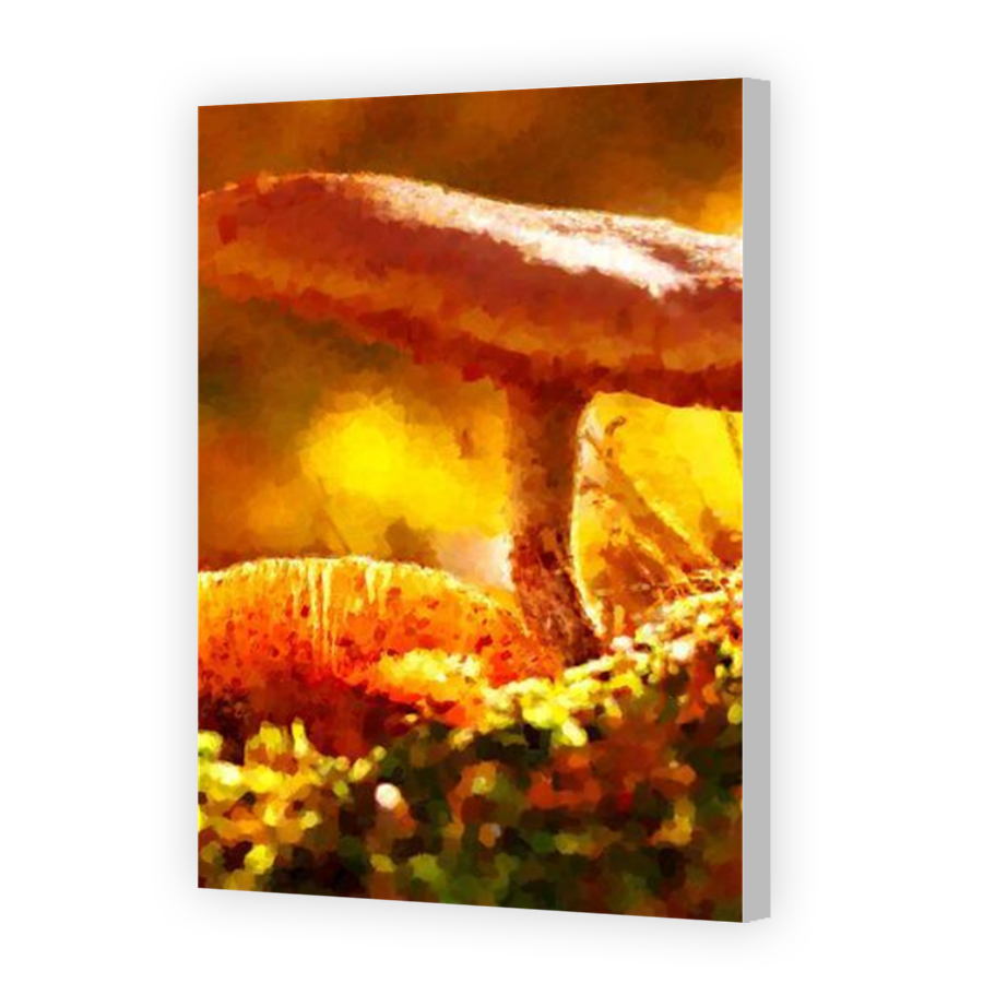 Thumbnail for Canvas - Coloured Canvas Wrap