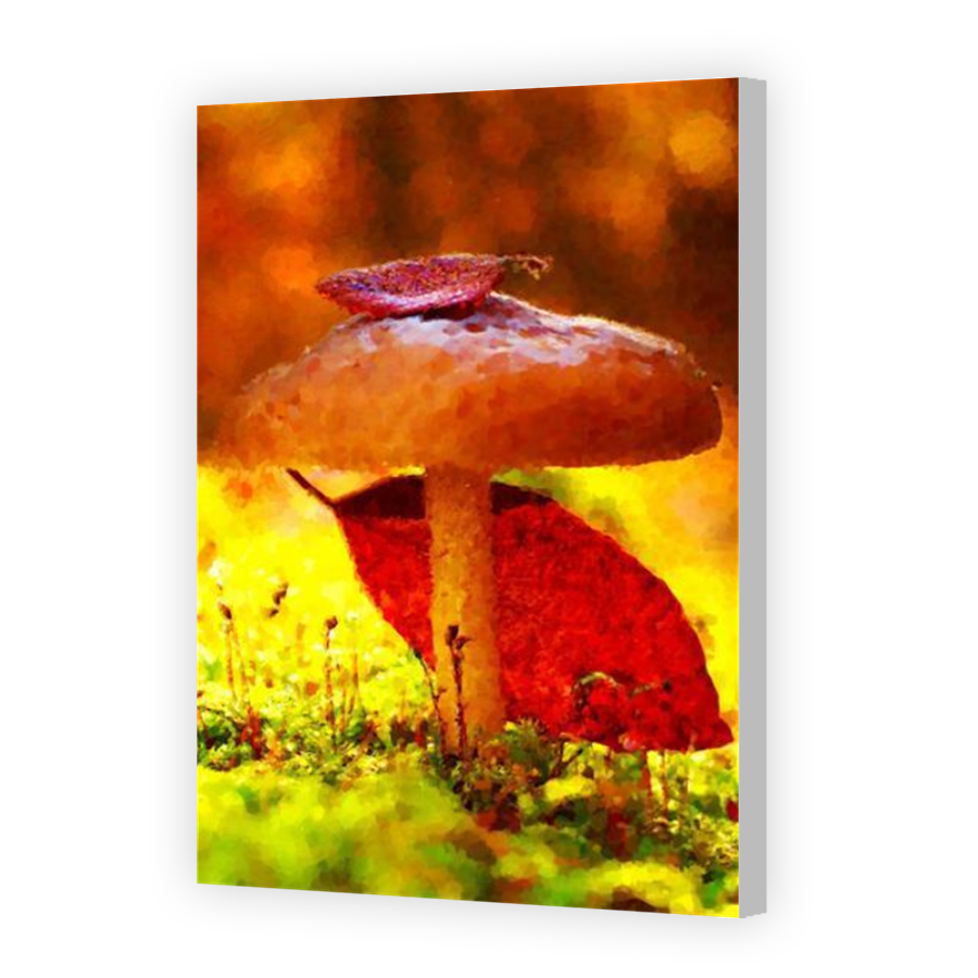 Thumbnail for Canvas - Coloured Canvas Wrap
