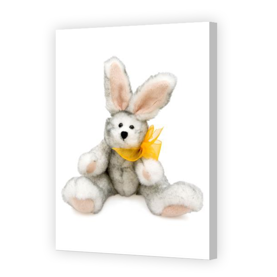 Thumbnail for Canvas - Coloured Canvas Wrap