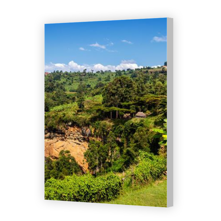 Thumbnail for Canvas - Coloured Canvas Wrap