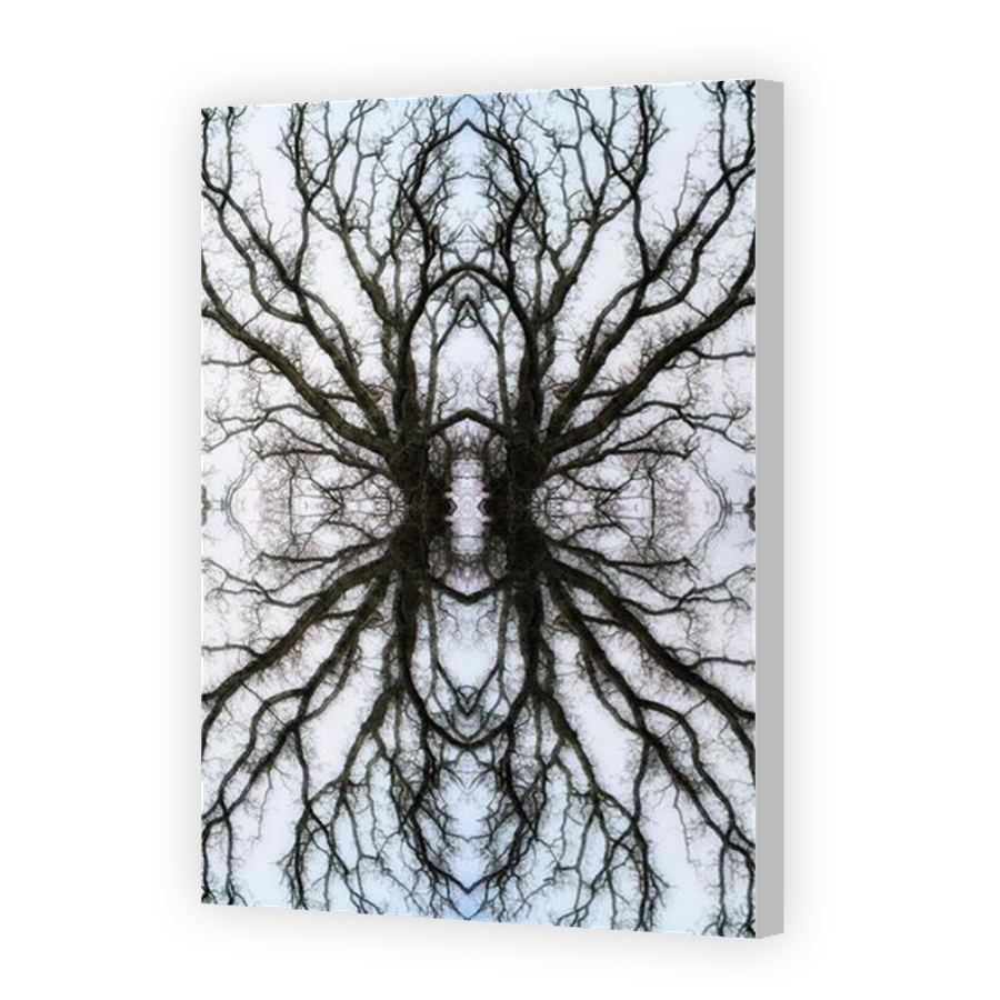 Thumbnail for Canvas - Coloured Canvas Wrap