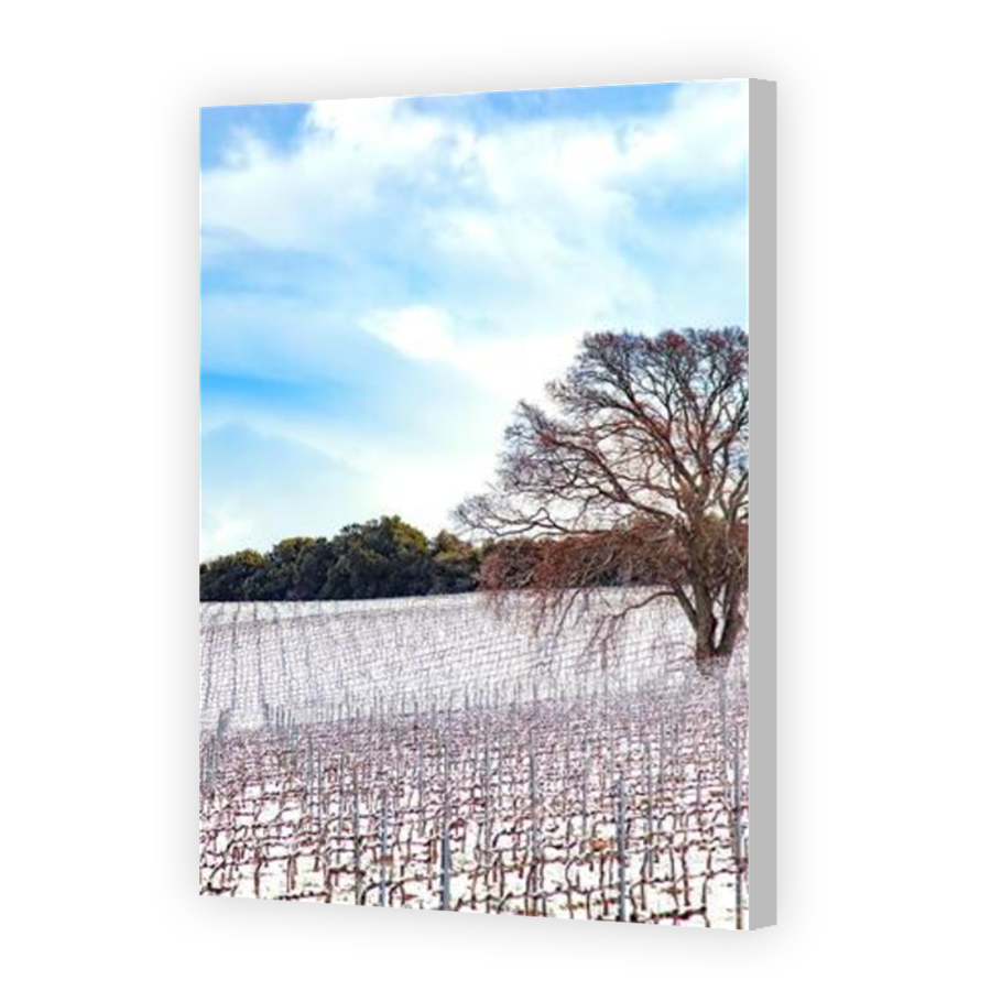 Thumbnail for Canvas - Coloured Canvas Wrap