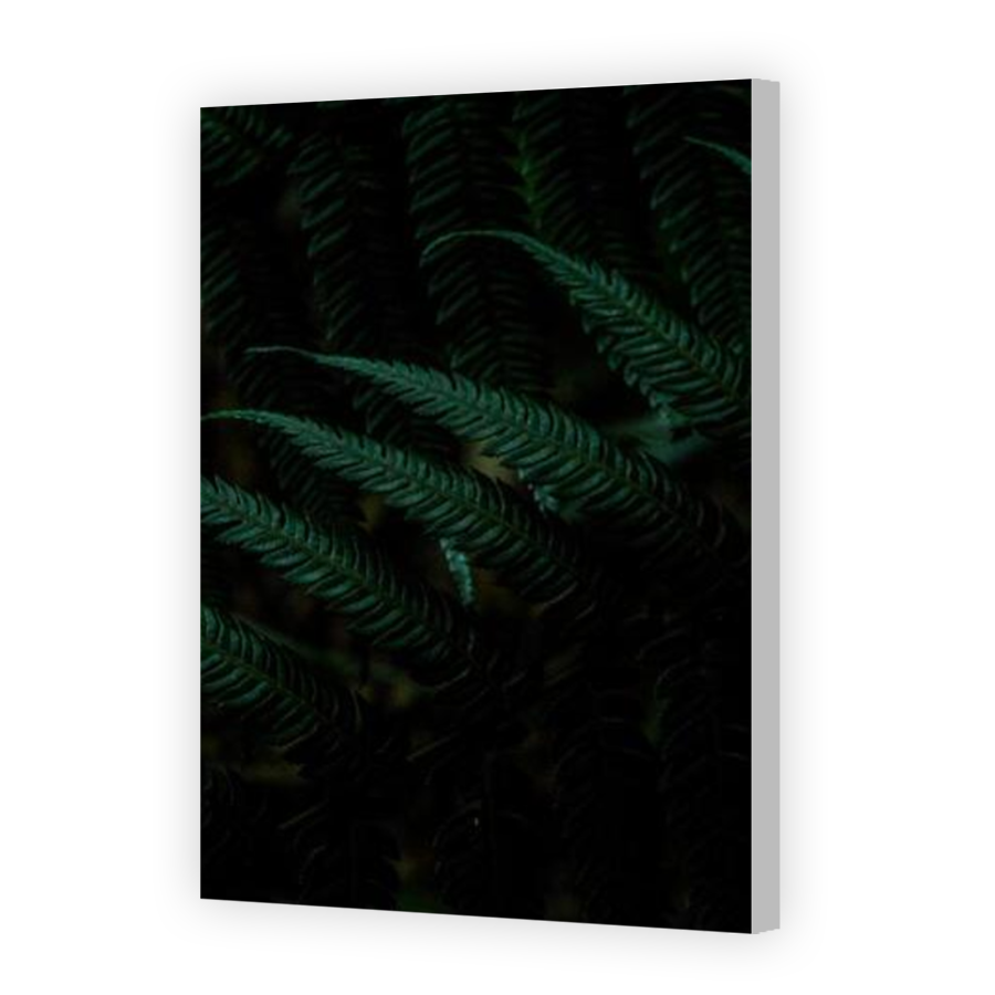 Thumbnail for Canvas - Coloured Canvas Wrap