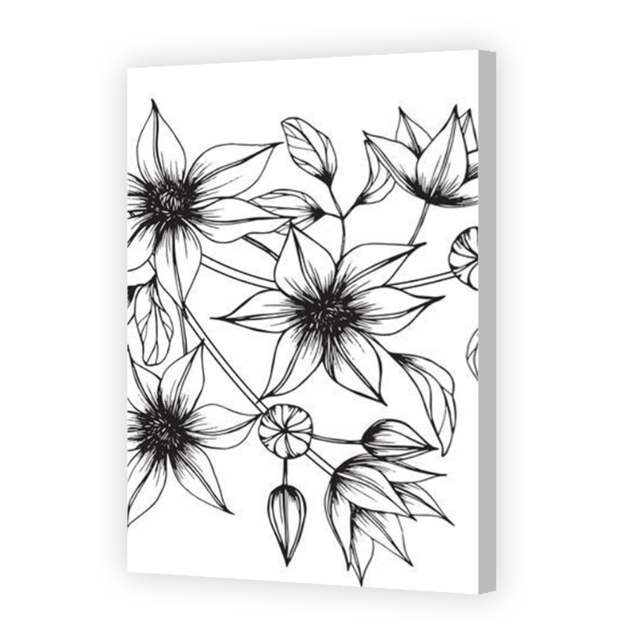 Thumbnail for Canvas - Coloured Canvas Wrap