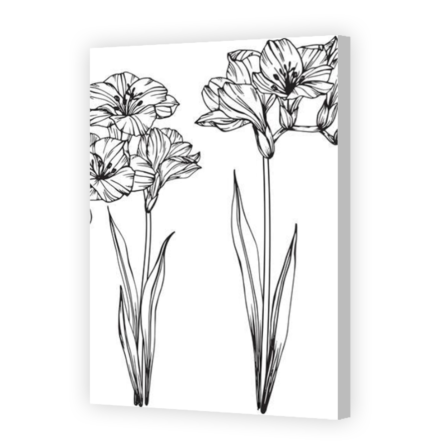 Thumbnail for Canvas - Coloured Canvas Wrap