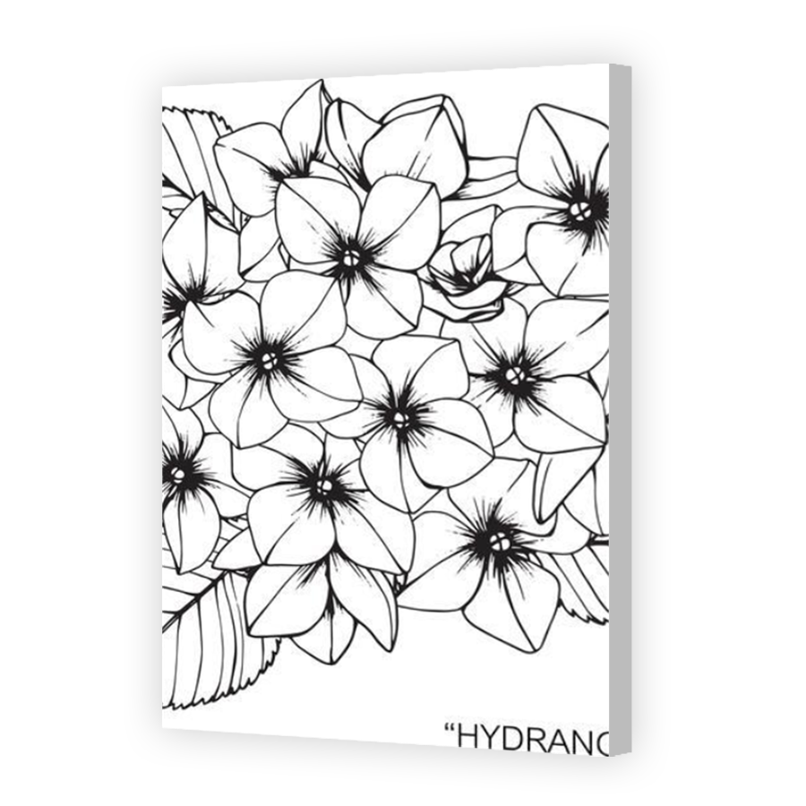 Thumbnail for Canvas - Coloured Canvas Wrap