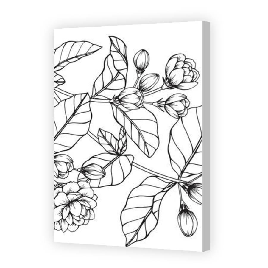 Thumbnail for Canvas - Coloured Canvas Wrap