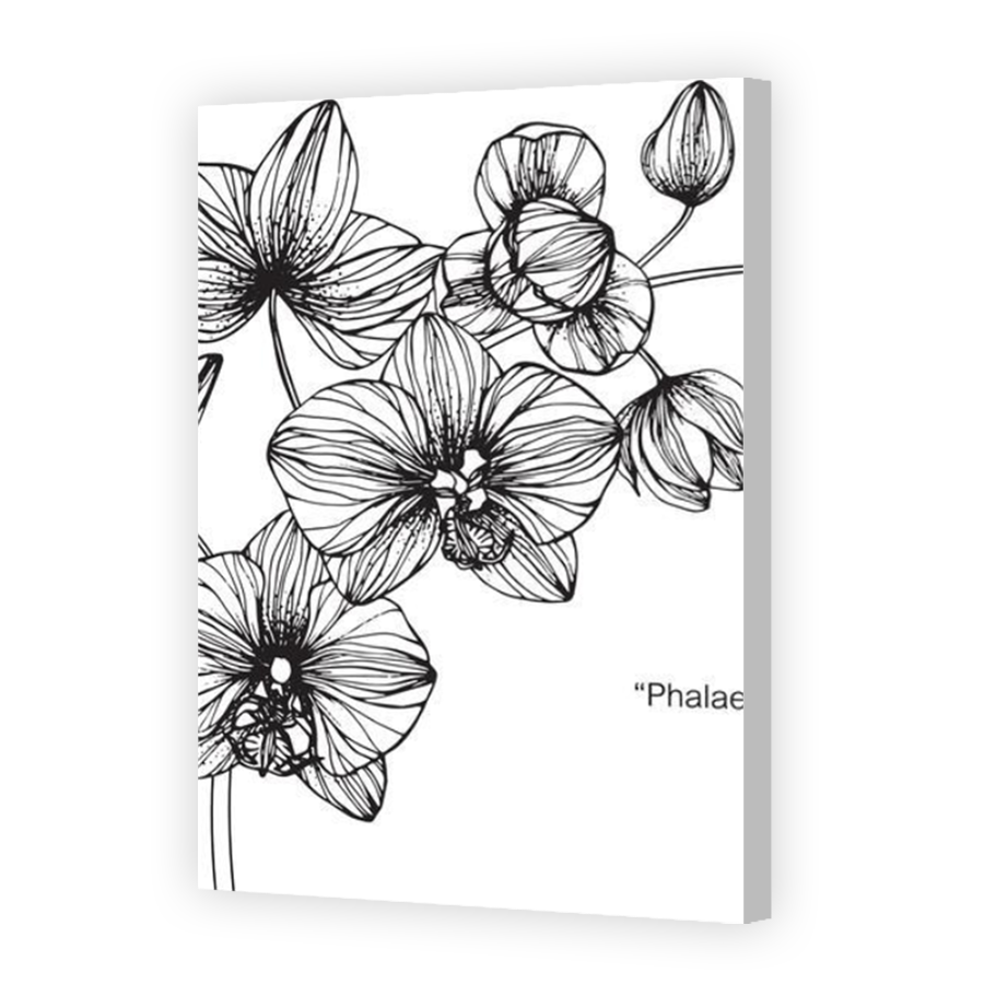 Thumbnail for Canvas - Coloured Canvas Wrap