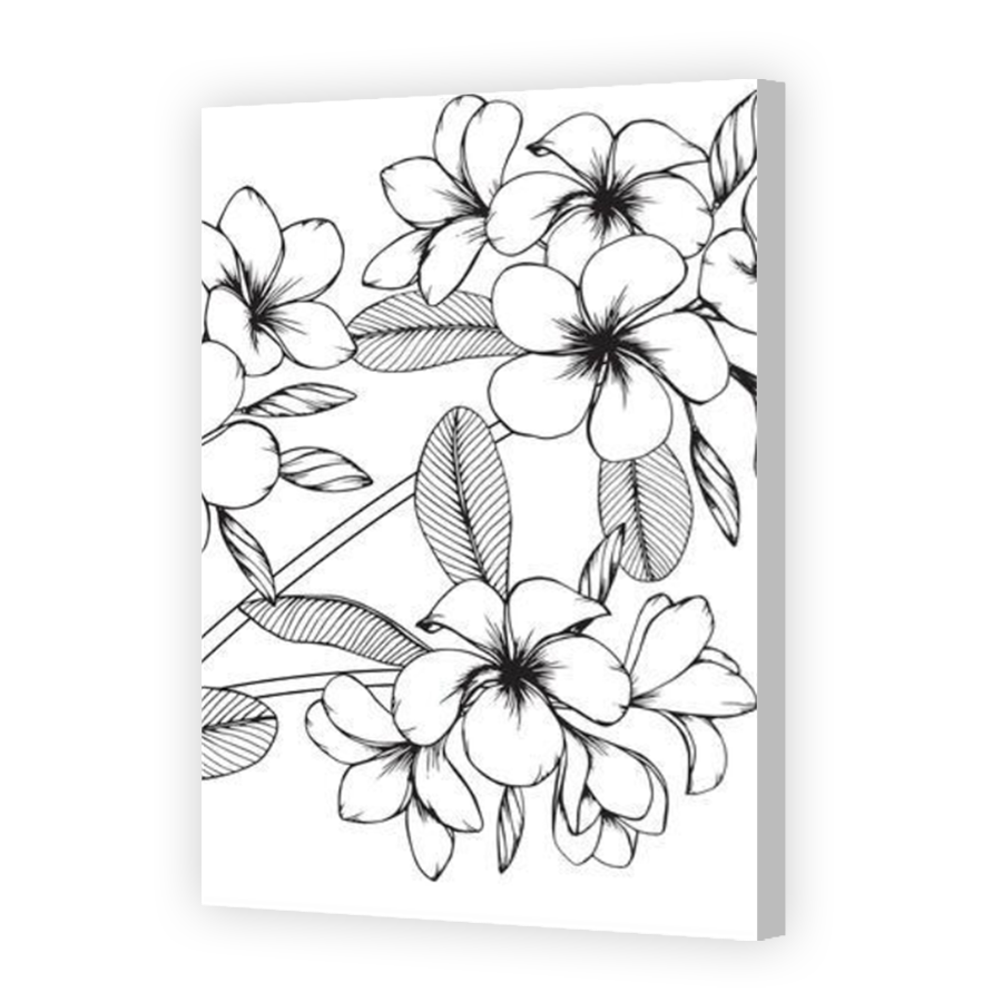 Thumbnail for Canvas - Coloured Canvas Wrap