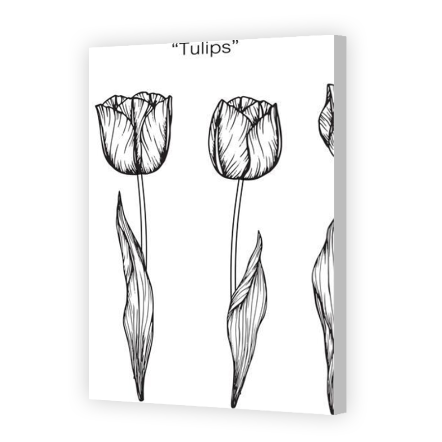 Thumbnail for Canvas - Coloured Canvas Wrap