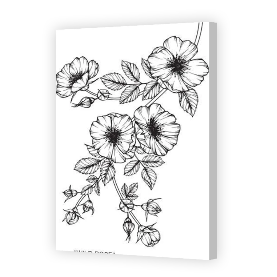Thumbnail for Canvas - Coloured Canvas Wrap