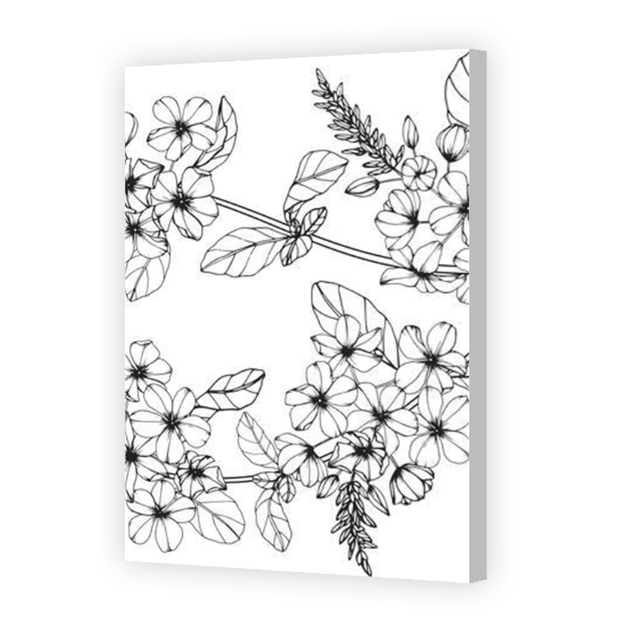 Thumbnail for Canvas - Coloured Canvas Wrap