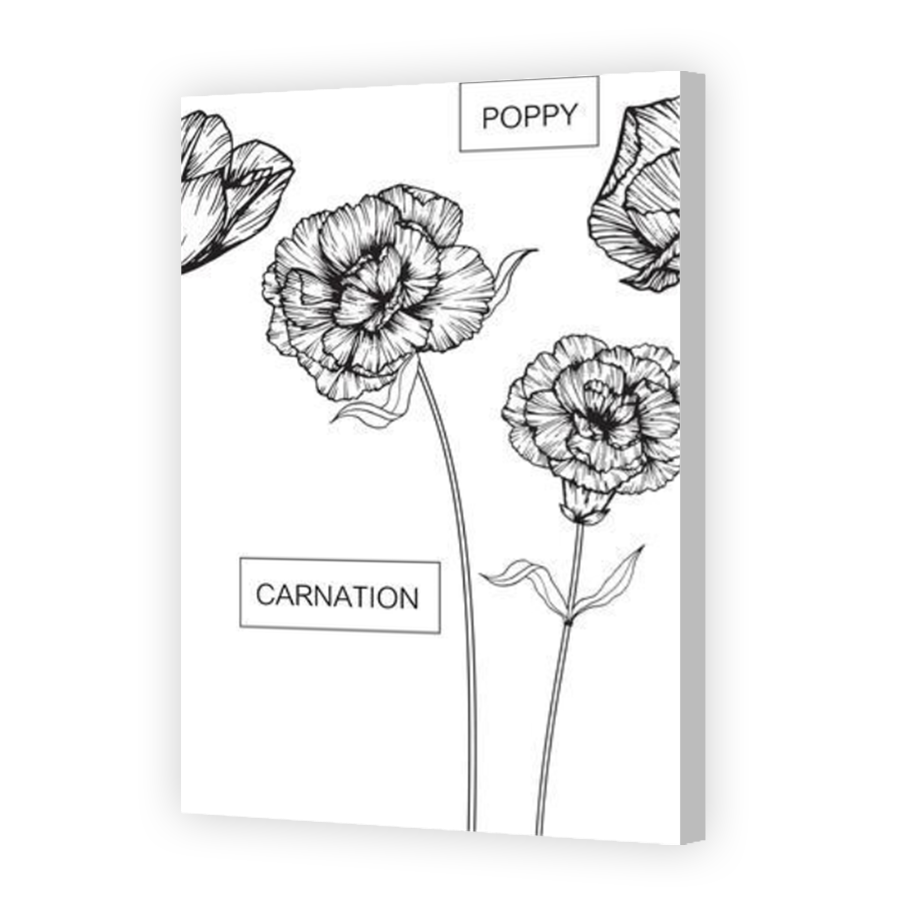 Thumbnail for Canvas - Coloured Canvas Wrap