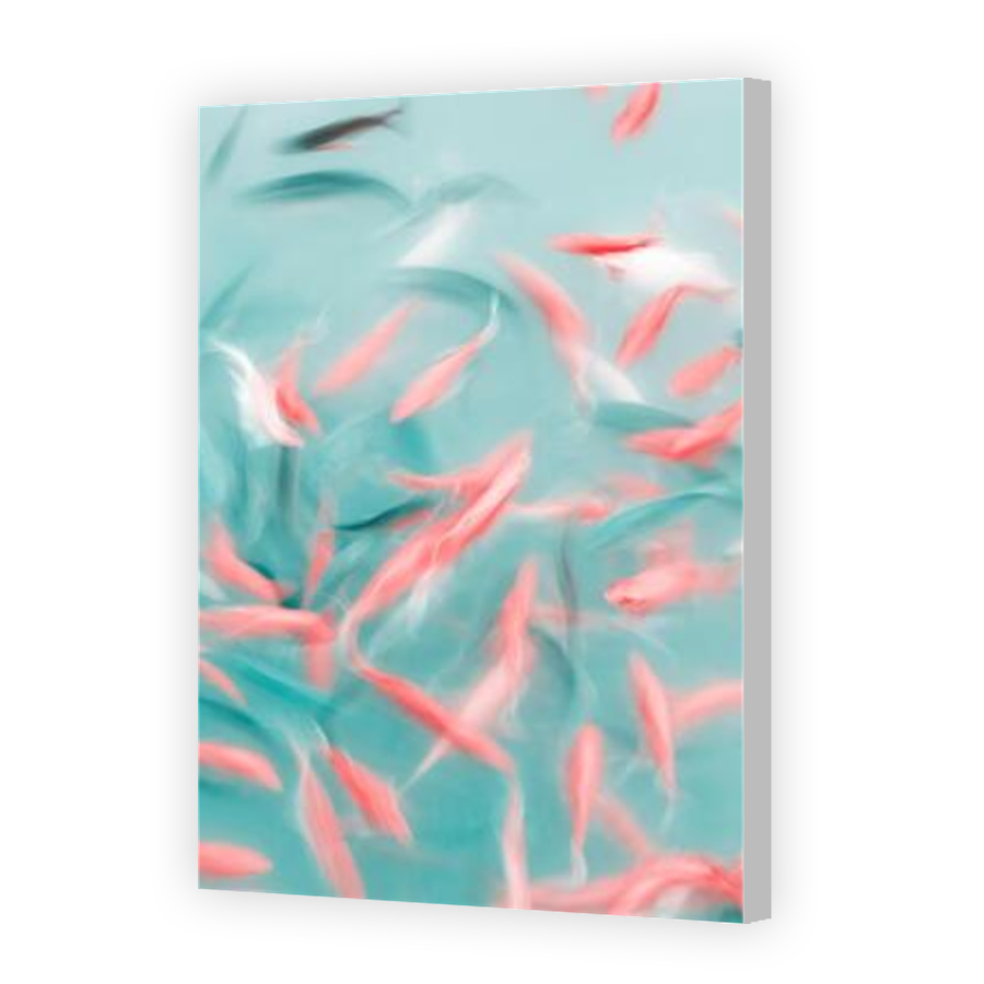 Thumbnail for Canvas - Coloured Canvas Wrap