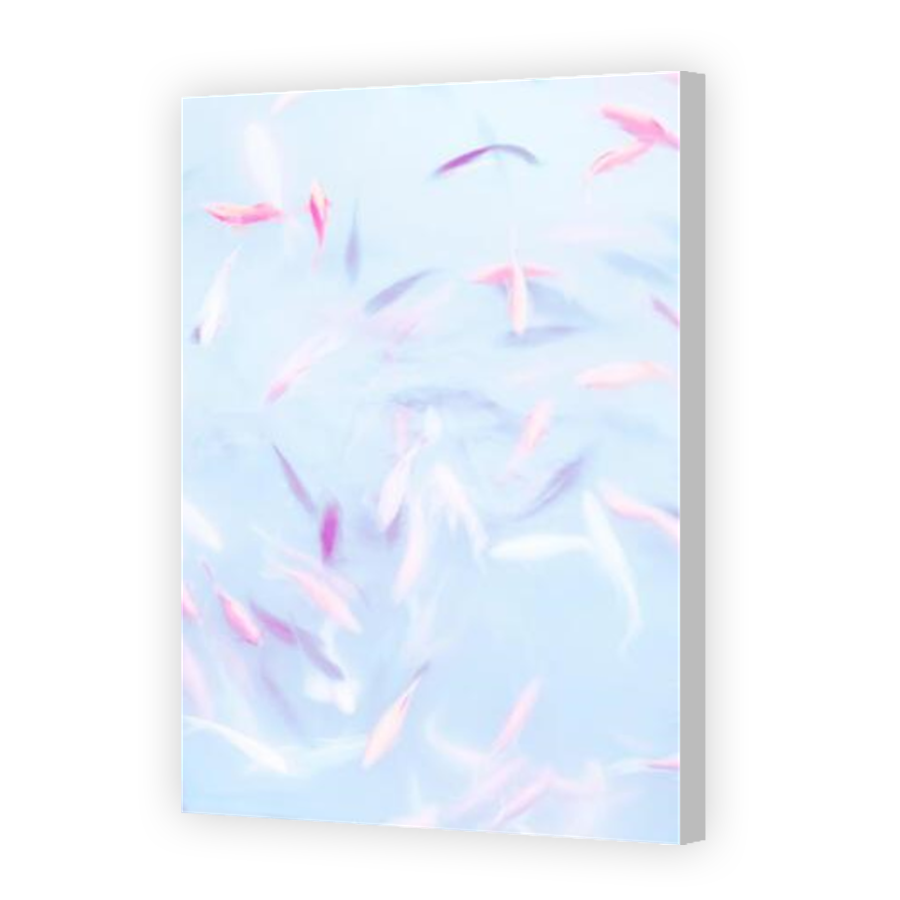 Thumbnail for Canvas - Coloured Canvas Wrap
