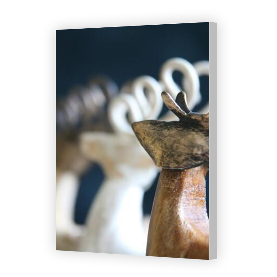 Thumbnail for Canvas - Coloured Canvas Wrap