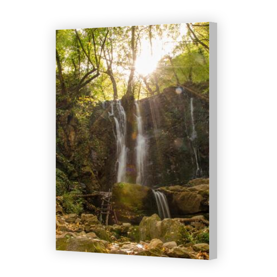 Thumbnail for Canvas - Coloured Canvas Wrap