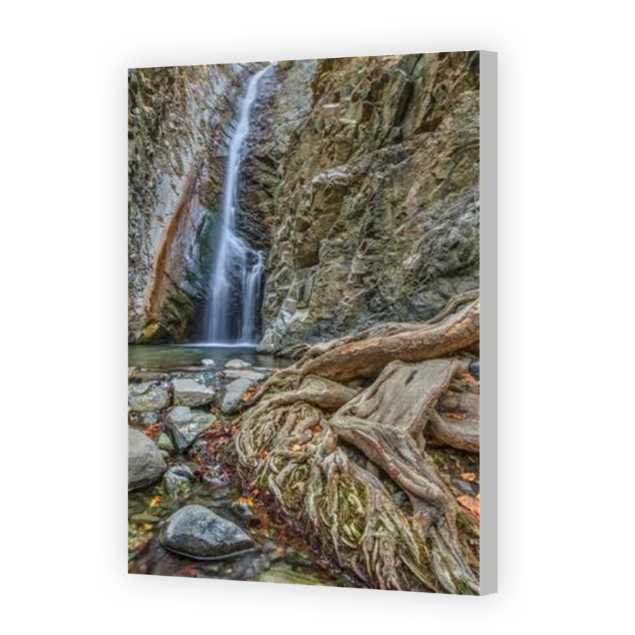 Thumbnail for Canvas - Coloured Canvas Wrap