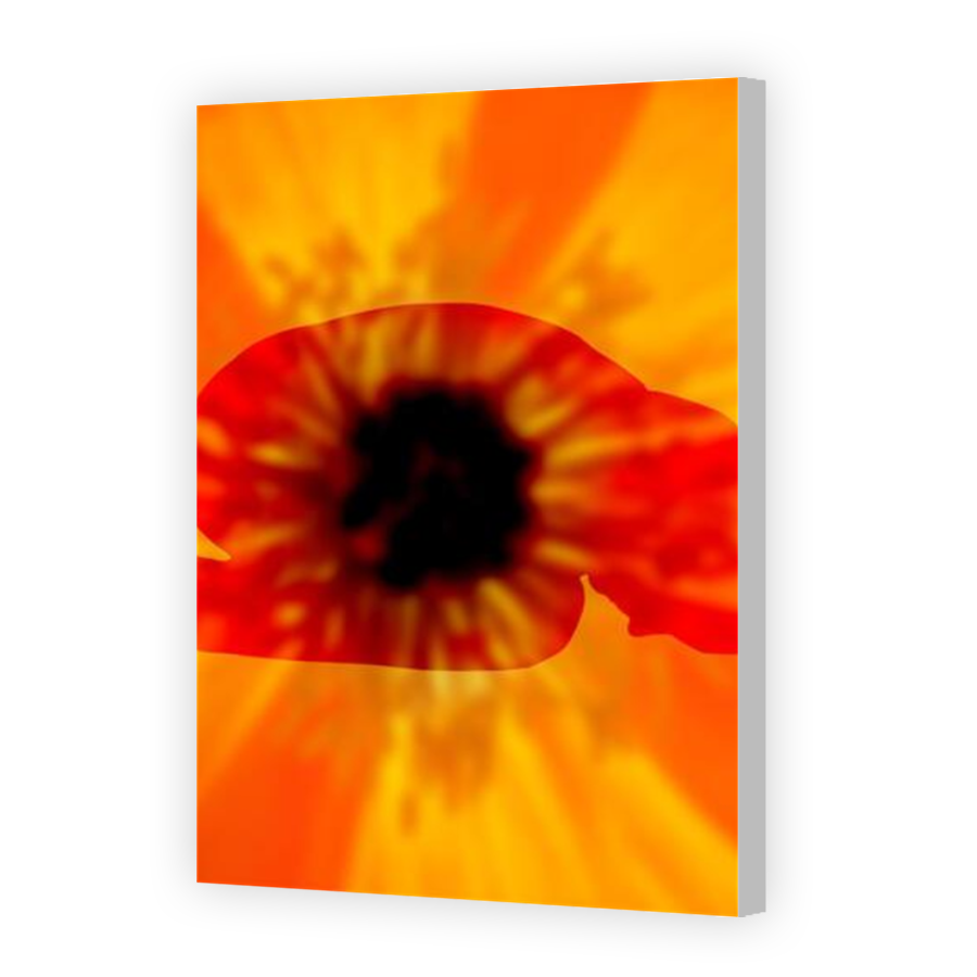 Thumbnail for Canvas - Coloured Canvas Wrap